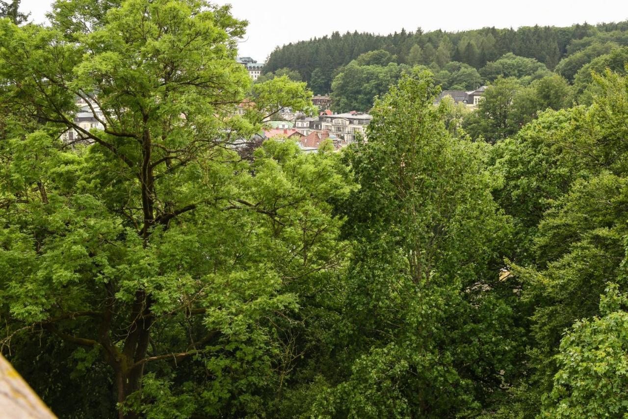 Rose Apartment Marianske Lazne Bagian luar foto